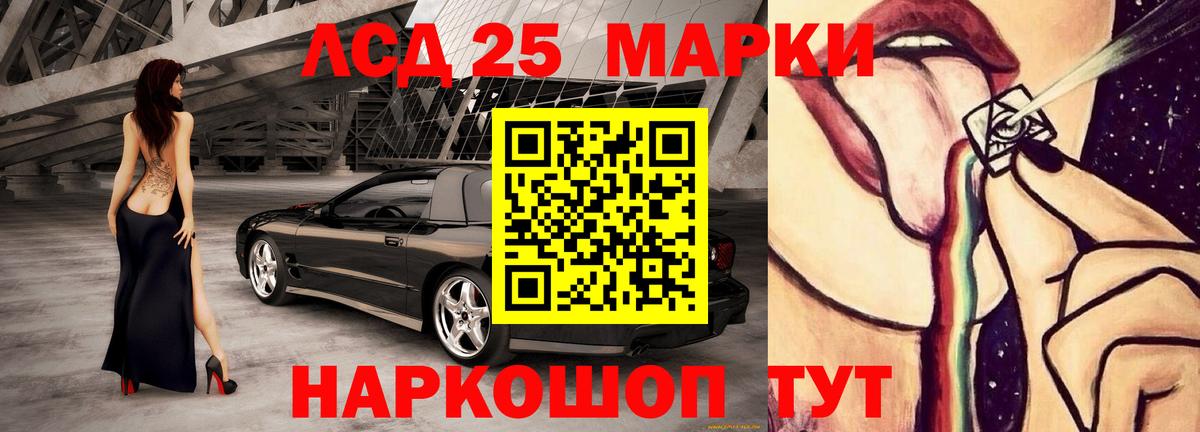 ЛСД экстази кислота  LSD-25 экстази кислота  Вход с VPN  Новозыбков 