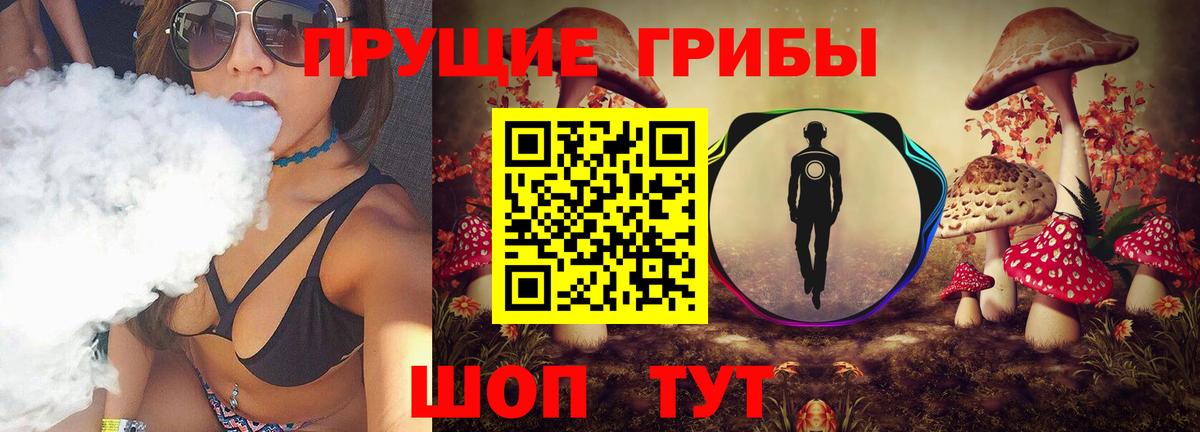 Новозыбков  Псилоцибиновые грибы прущие грибы  Вход с VPN 